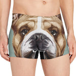 English Bulldog Portrait Print Men's Boxer Briefs