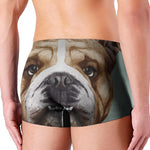 English Bulldog Portrait Print Men's Boxer Briefs