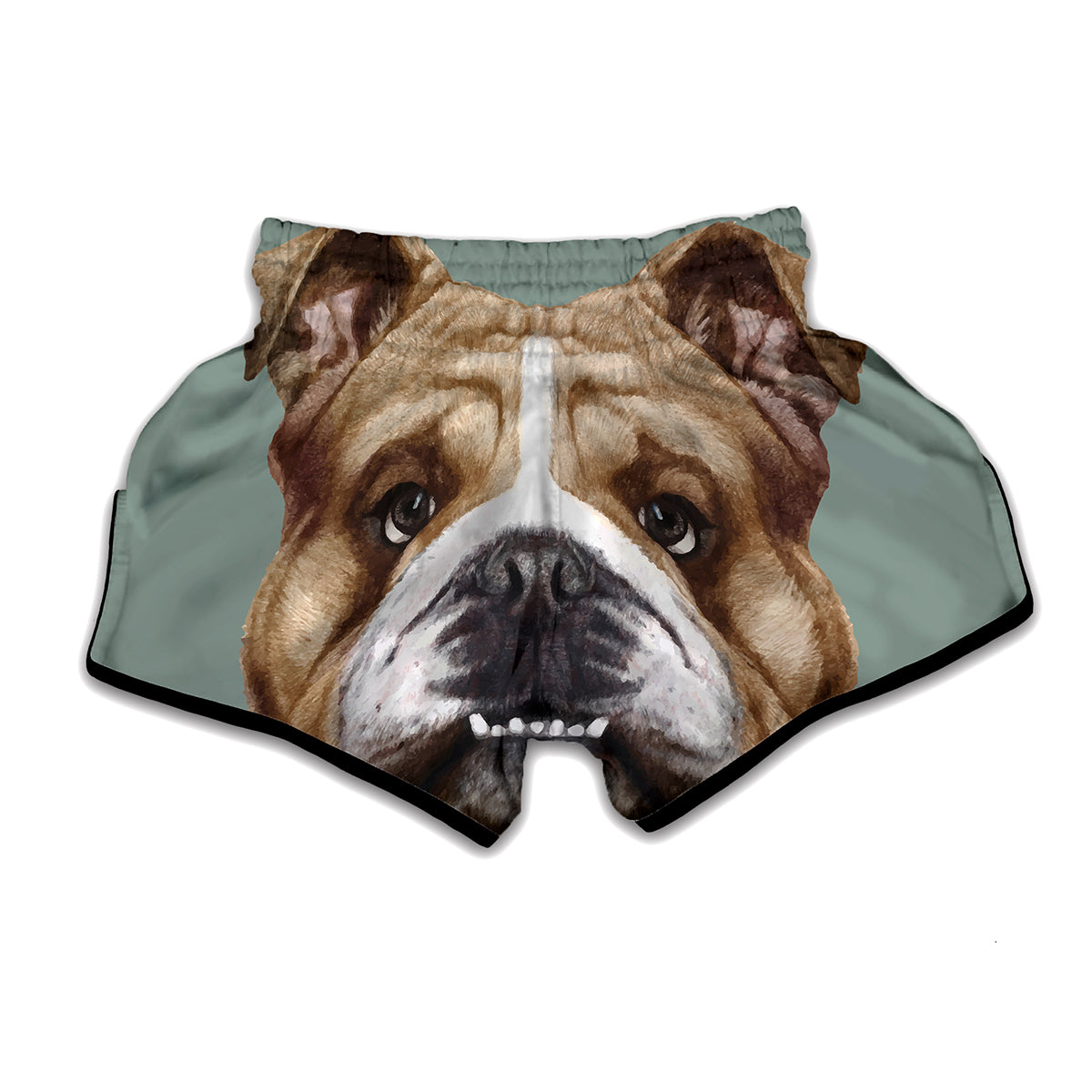 English Bulldog Portrait Print Muay Thai Boxing Shorts