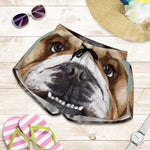 English Bulldog Portrait Print Women's Shorts
