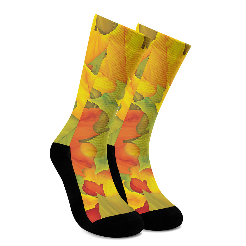 Fall Autumn Maple Leaves Print Crew Socks