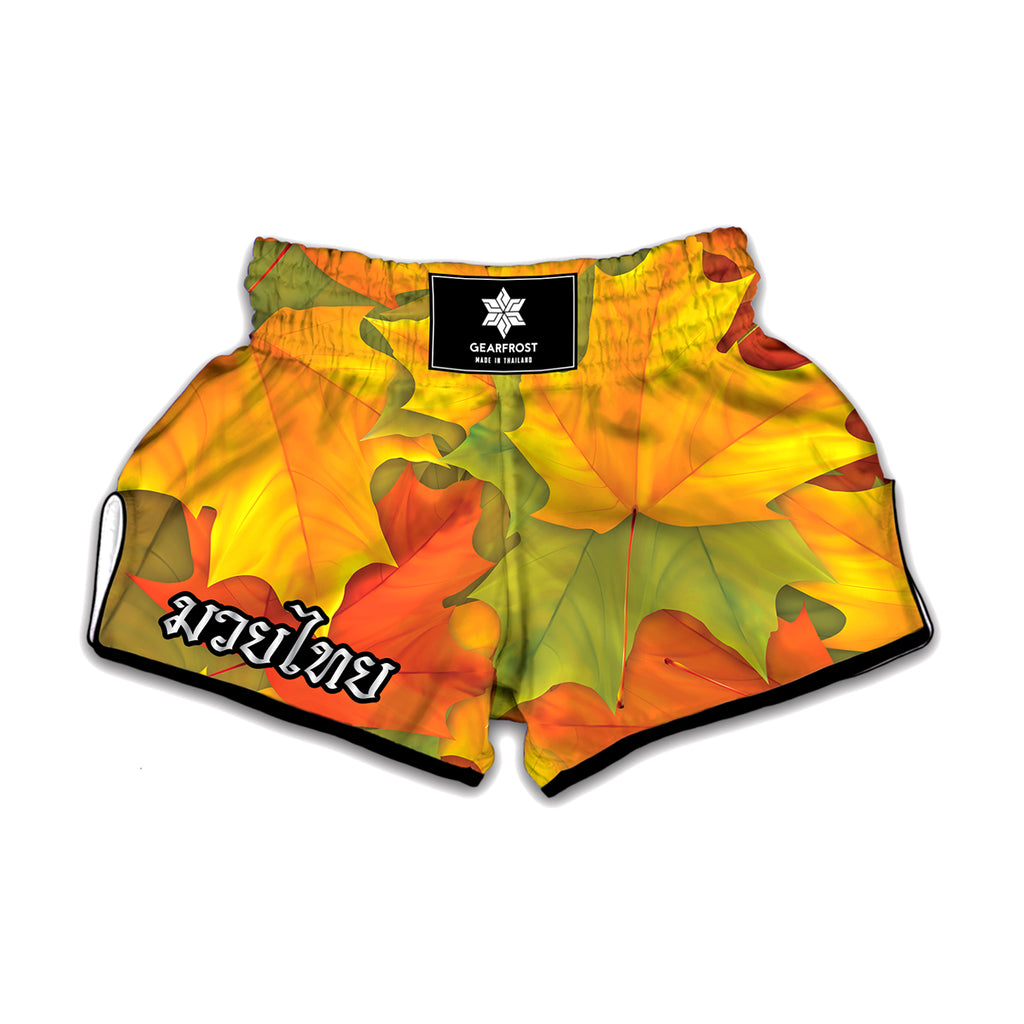 Fall Autumn Maple Leaves Print Muay Thai Boxing Shorts