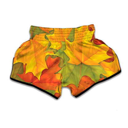 Fall Autumn Maple Leaves Print Muay Thai Boxing Shorts