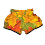 Fall Autumn Maple Leaves Print Muay Thai Boxing Shorts