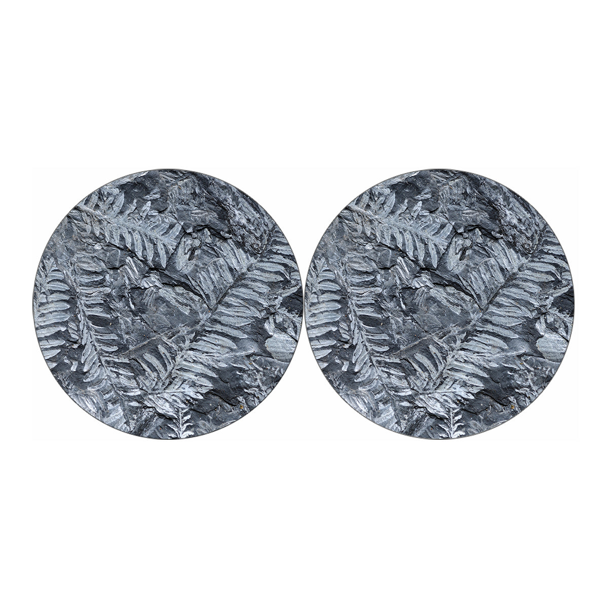 Fern Fossil Print Car Coasters