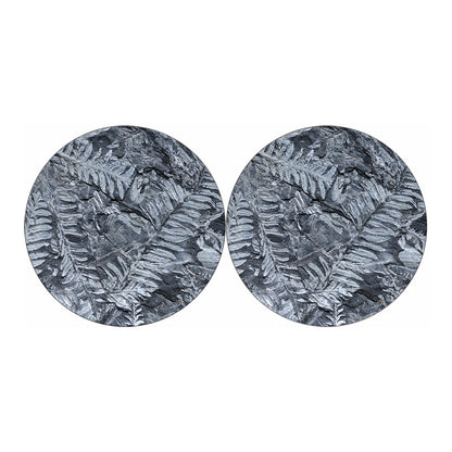 Fern Fossil Print Car Coasters