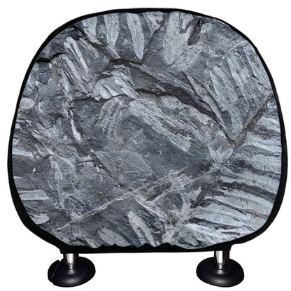 Fern Fossil Print Car Headrest Covers
