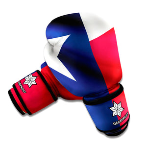 Flag Of Texas Print Boxing Gloves