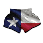 Flag Of Texas Print Muay Thai Boxing Shorts