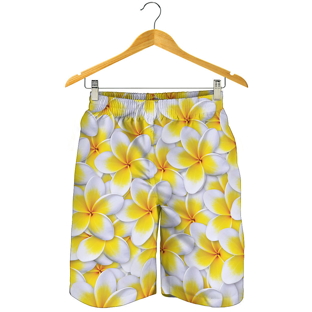 Frangipani Flower Print Men's Shorts