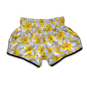 Frangipani Flower Print Muay Thai Boxing Shorts