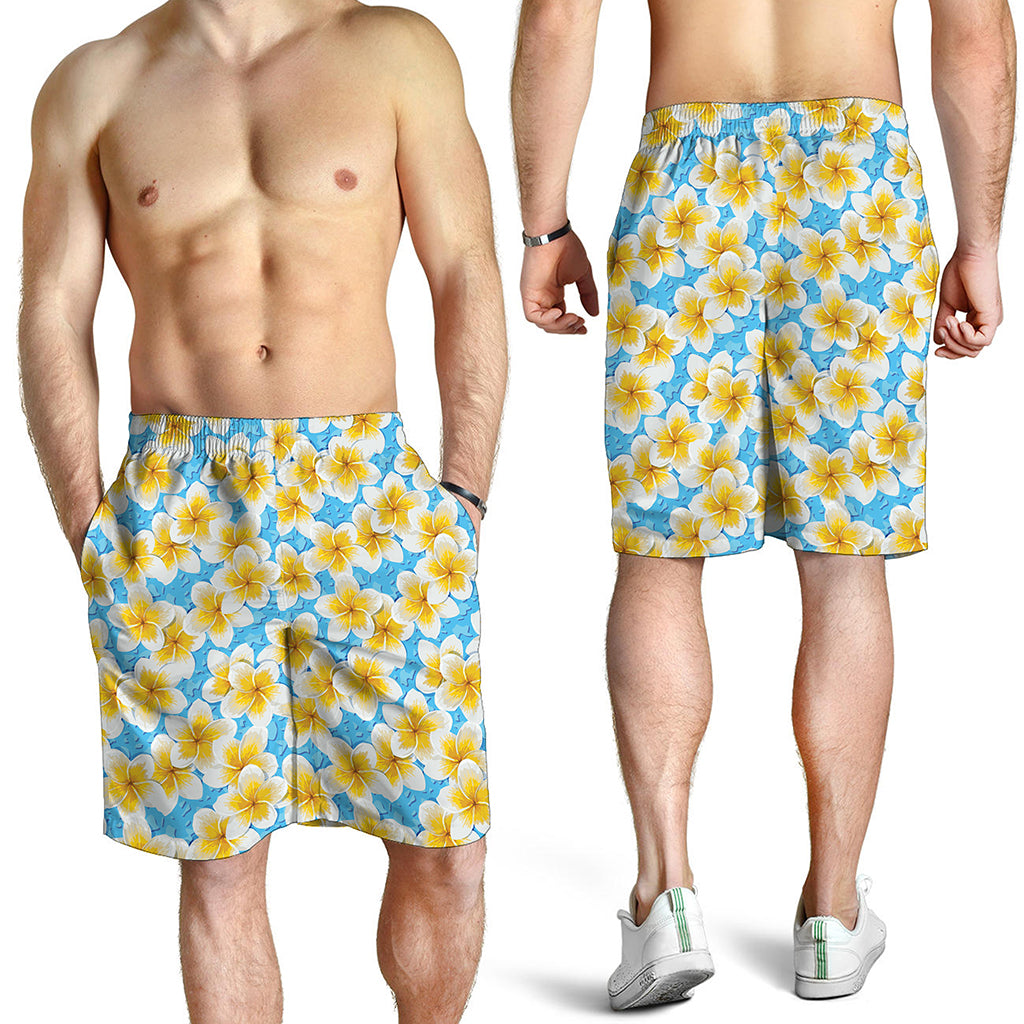 Frangipani On The Water Pattern Print Men's Shorts