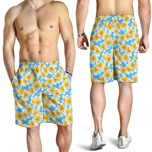 Frangipani On The Water Pattern Print Men's Shorts