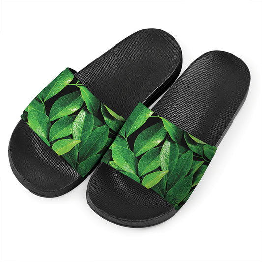 Fresh Green Leaf Print Black Slide Sandals