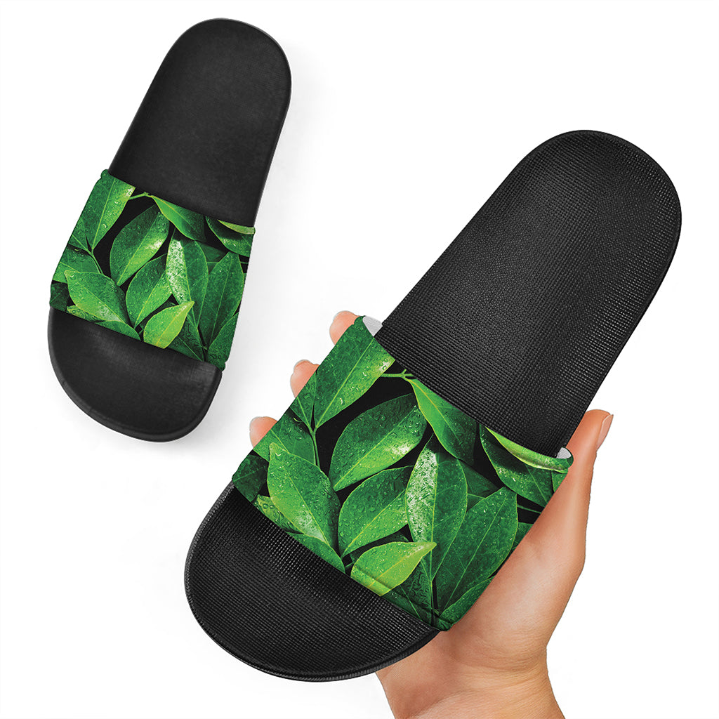 Fresh Green Leaf Print Black Slide Sandals