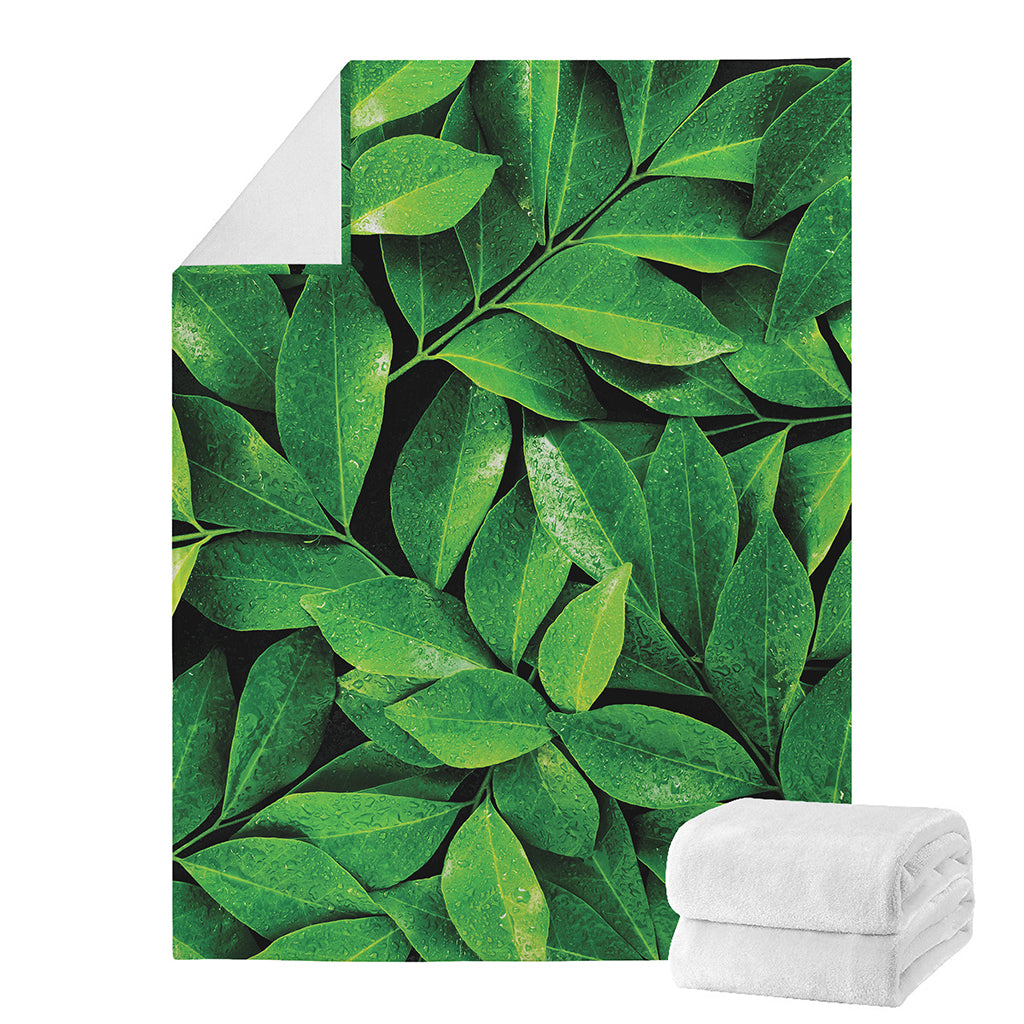 Fresh Green Leaf Print Blanket