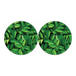 Fresh Green Leaf Print Car Coasters