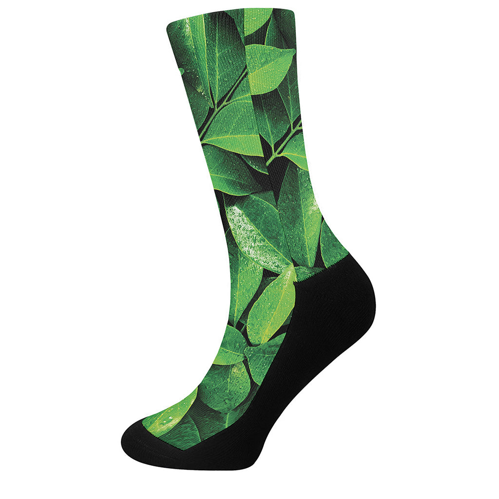 Fresh Green Leaf Print Crew Socks