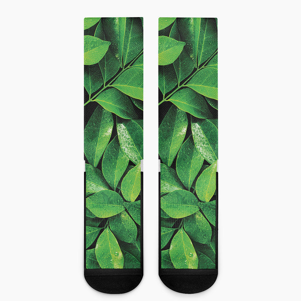 Fresh Green Leaf Print Crew Socks
