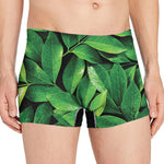 Fresh Green Leaf Print Men's Boxer Briefs