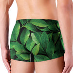 Fresh Green Leaf Print Men's Boxer Briefs