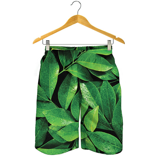 Fresh Green Leaf Print Men's Shorts