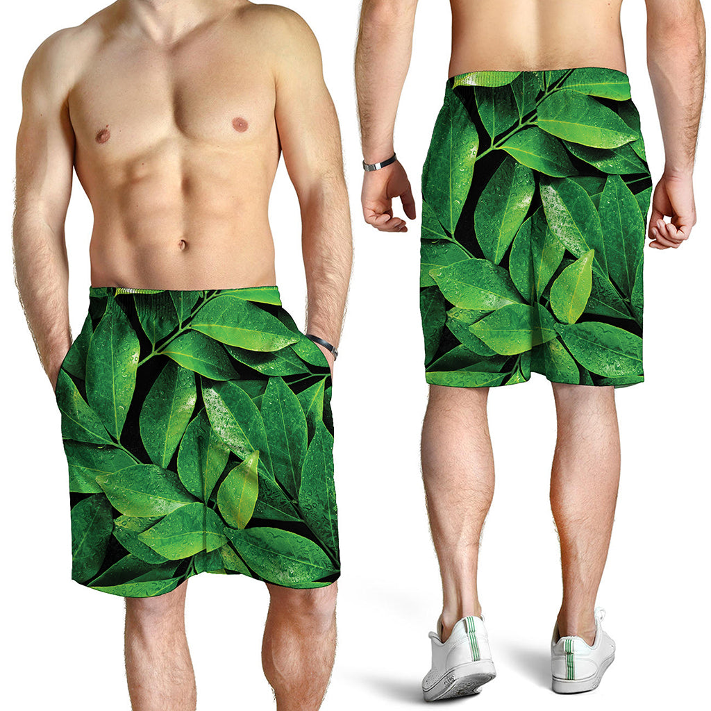Fresh Green Leaf Print Men's Shorts