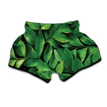 Fresh Green Leaf Print Muay Thai Boxing Shorts