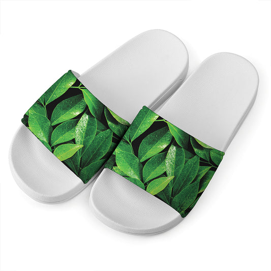 Fresh Green Leaf Print White Slide Sandals