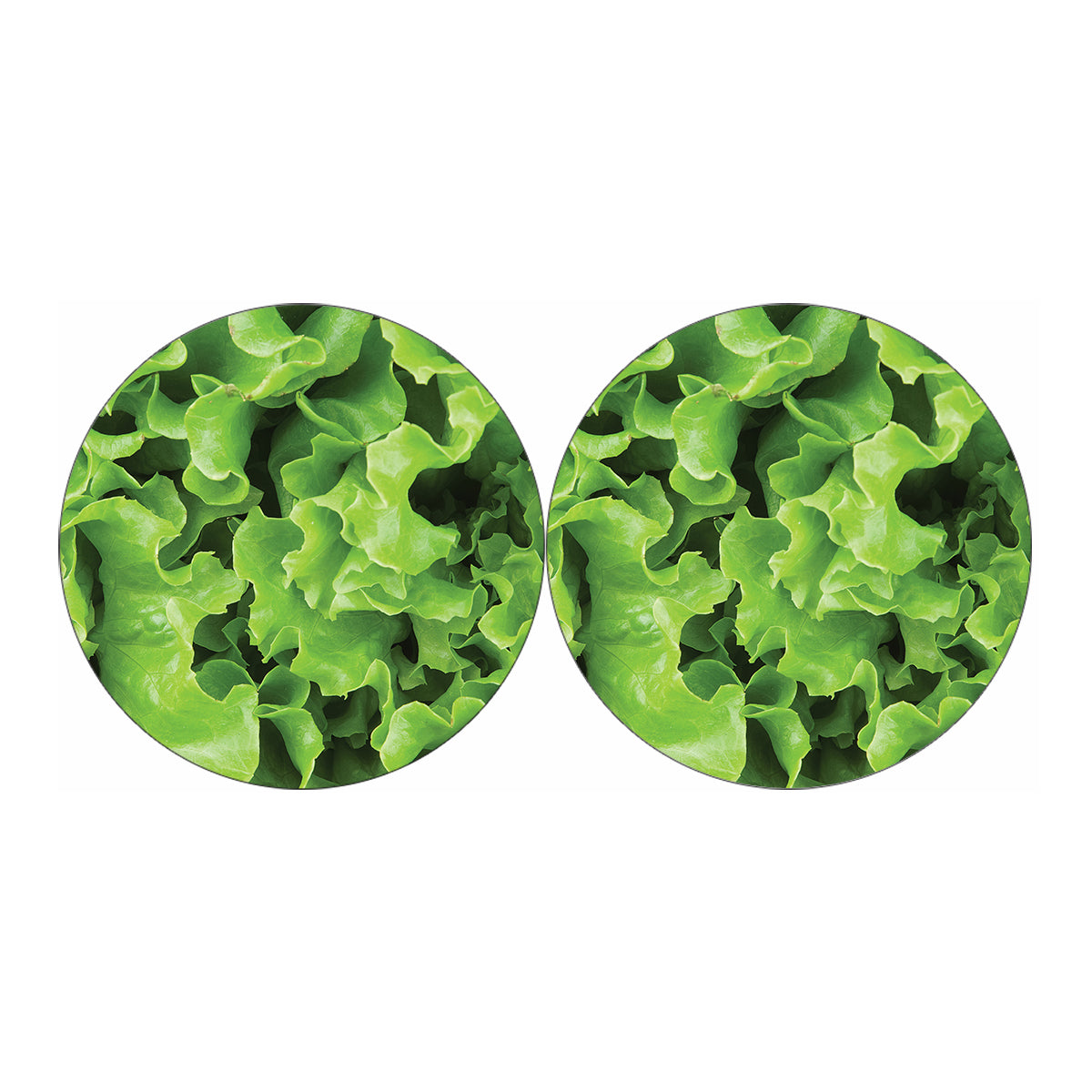 Fresh Lettuce Leaves Print Car Coasters