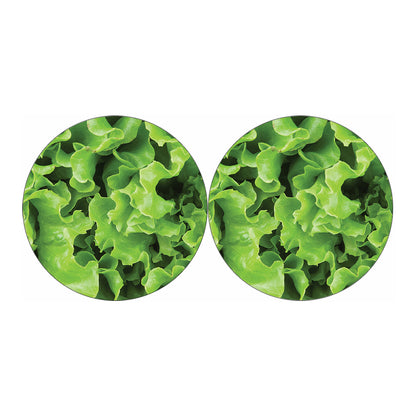 Fresh Lettuce Leaves Print Car Coasters