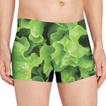 Fresh Lettuce Leaves Print Men's Boxer Briefs