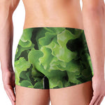 Fresh Lettuce Leaves Print Men's Boxer Briefs