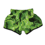 Fresh Lettuce Leaves Print Muay Thai Boxing Shorts