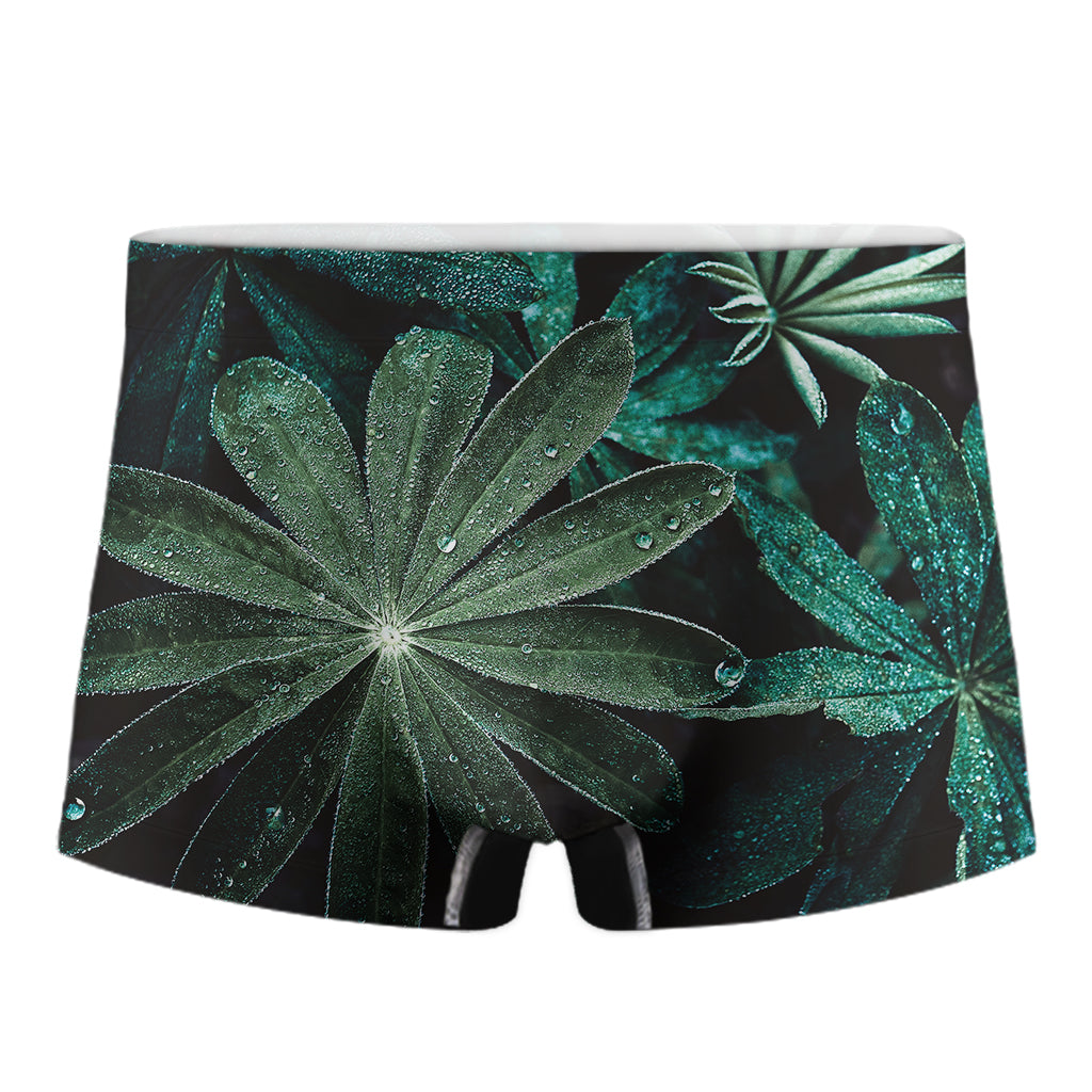 Fresh Tropical Leaf Print Men's Boxer Briefs