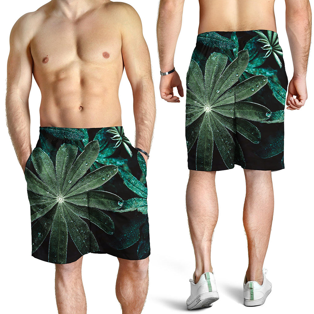 Fresh Tropical Leaf Print Men's Shorts