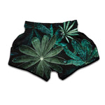 Fresh Tropical Leaf Print Muay Thai Boxing Shorts
