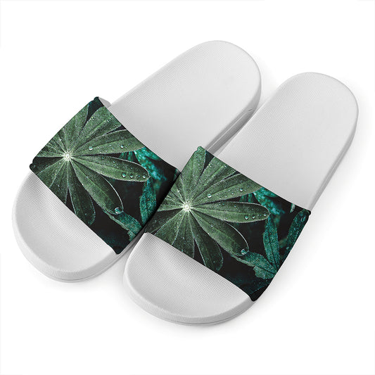 Fresh Tropical Leaf Print White Slide Sandals