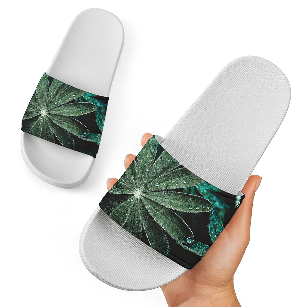 Fresh Tropical Leaf Print White Slide Sandals