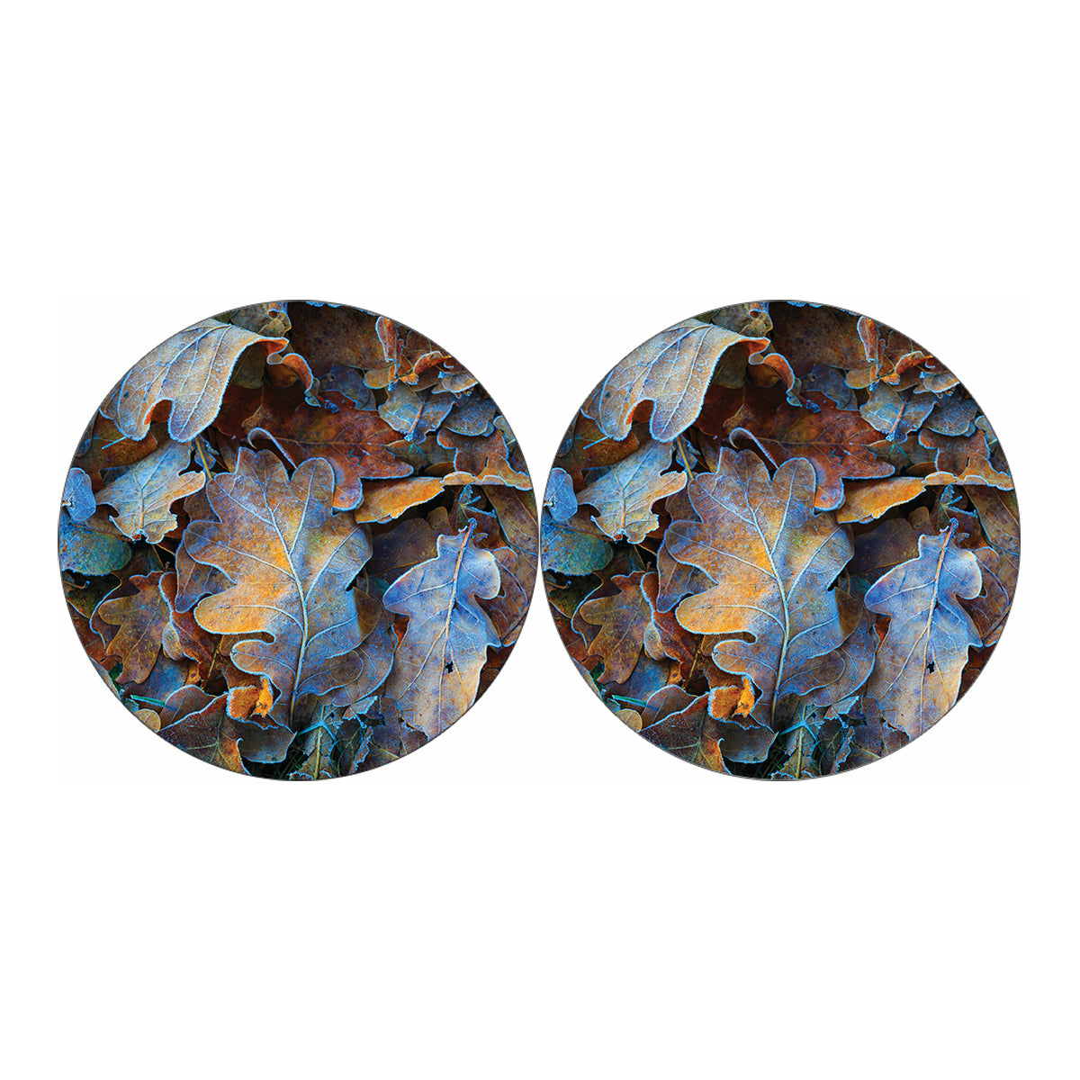 Frozen Oak leaf Print Car Coasters