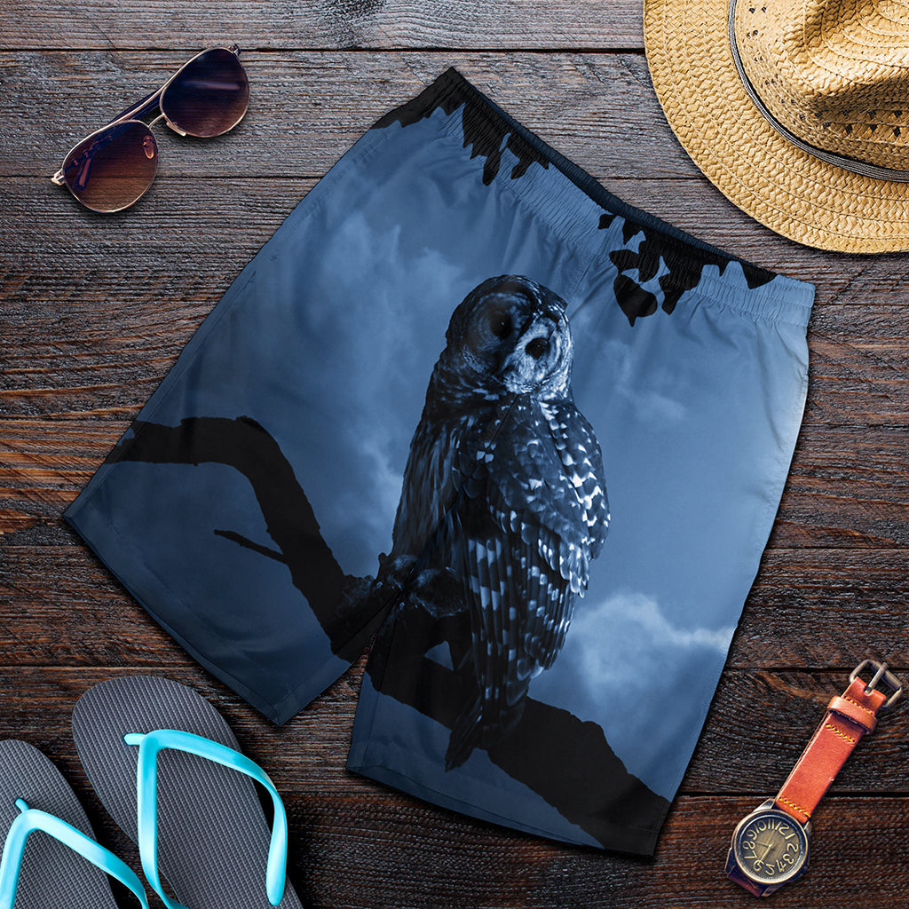 Full Moon Night Owl Print Men's Shorts