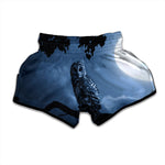 Full Moon Night Owl Print Muay Thai Boxing Shorts