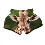 Funny Giraffe Print Muay Thai Boxing Shorts