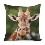 Funny Giraffe Print Pillow Cover