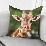 Funny Giraffe Print Pillow Cover