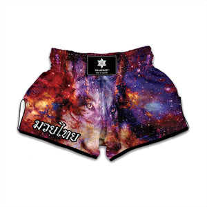 Galaxy Wolf Portrait Print Muay Thai Boxing Shorts