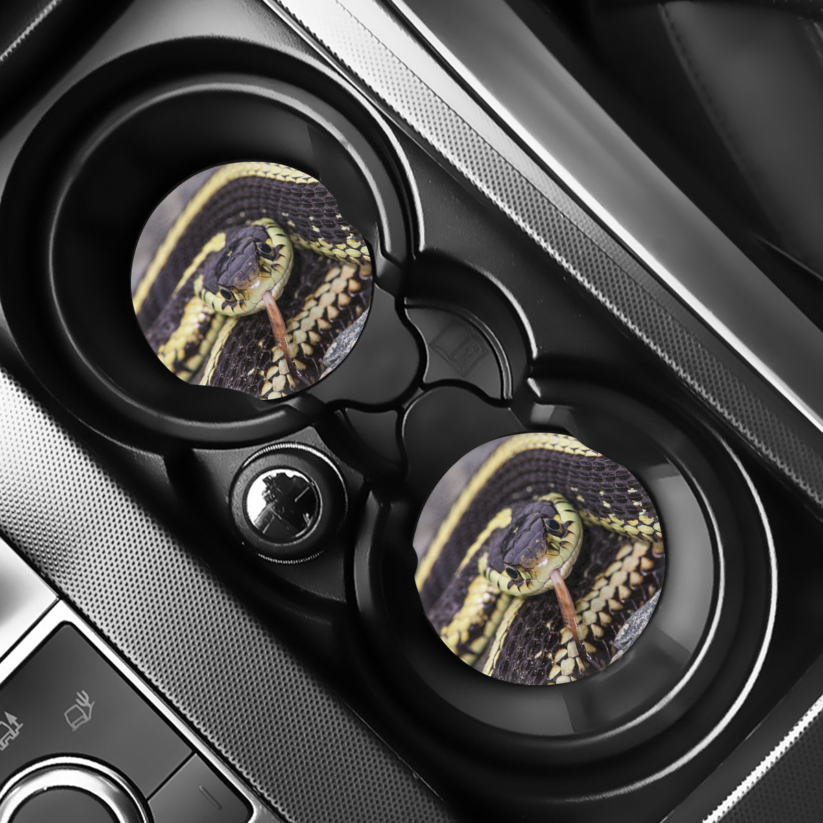 Garter Snake Print Car Coasters