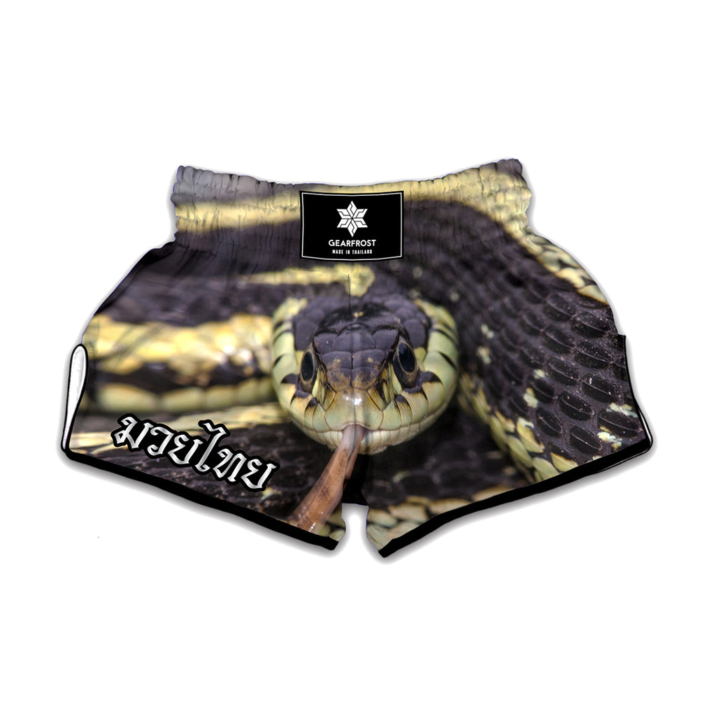 Garter Snake Print Muay Thai Boxing Shorts