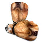 Golden Retriever Portrait Print Boxing Gloves