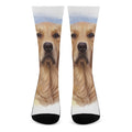 Golden Retriever Portrait Print Crew Socks